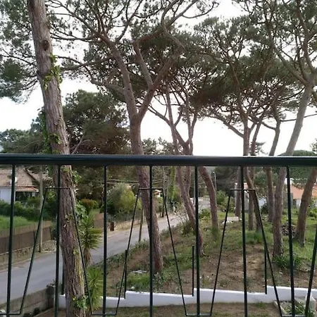 Banzao Pineforest Family &friends Pool Garden