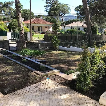Banzao Pineforest Family &friends Pool Garden *