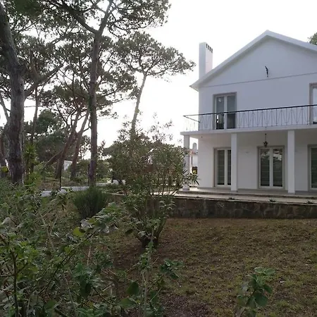 Banzao Pineforest Family &friends Pool Garden
