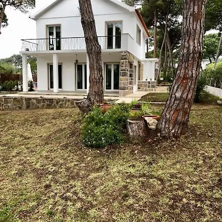 Banzao Pineforest Family &friends Pool Garden